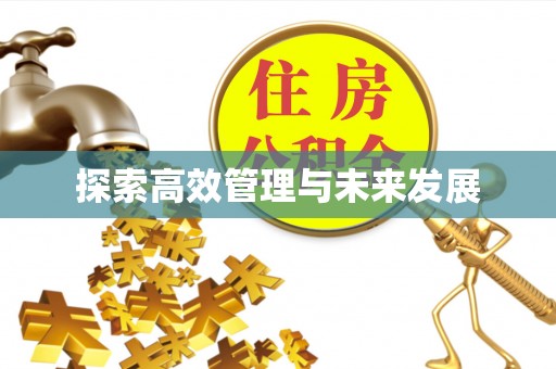 常德探索高效管理与未来发展