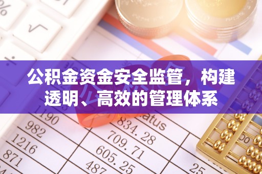 常德公积金资金安全监管，构建透明、高效的管理体系
