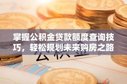 常德掌握公积金贷款额度查询技巧，轻松规划未来购房之路