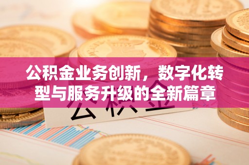 常德公积金业务创新，数字化转型与服务升级的全新篇章