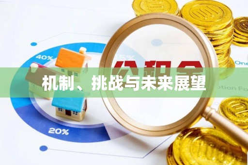 常德机制、挑战与未来展望