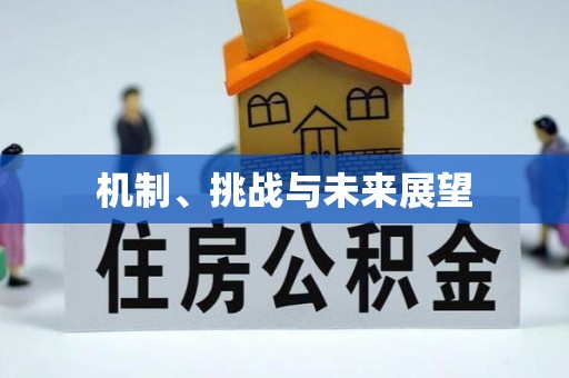 常德机制、挑战与未来展望